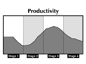 Productivity During Stages